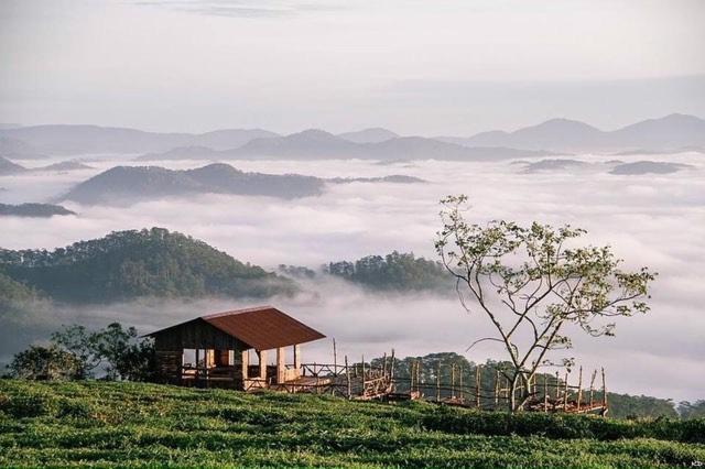Luan'S Villa Đà Lạt Ngoại thất bức ảnh